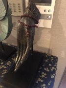 白山金水泉洗浴怎么样收费的呢多少钱