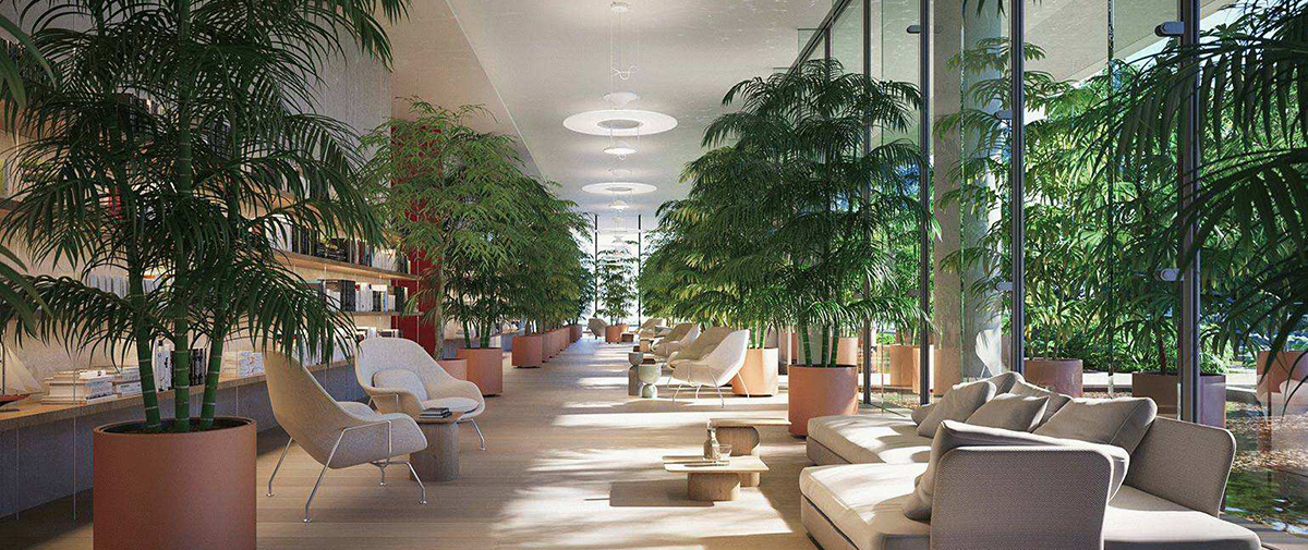 深圳芙蓉花会所地址电话号码