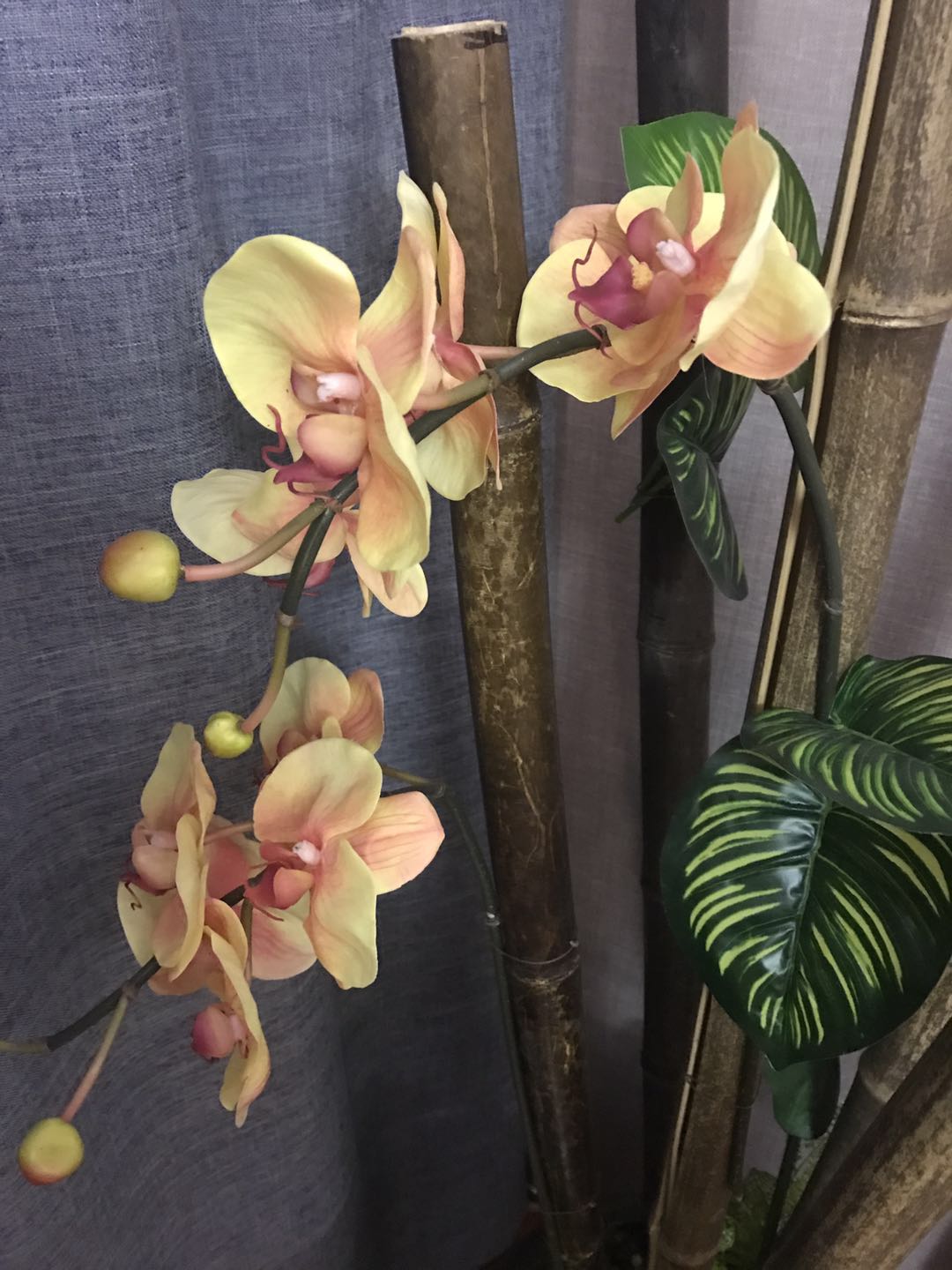 芙蓉堂休闲会所地址电话号码